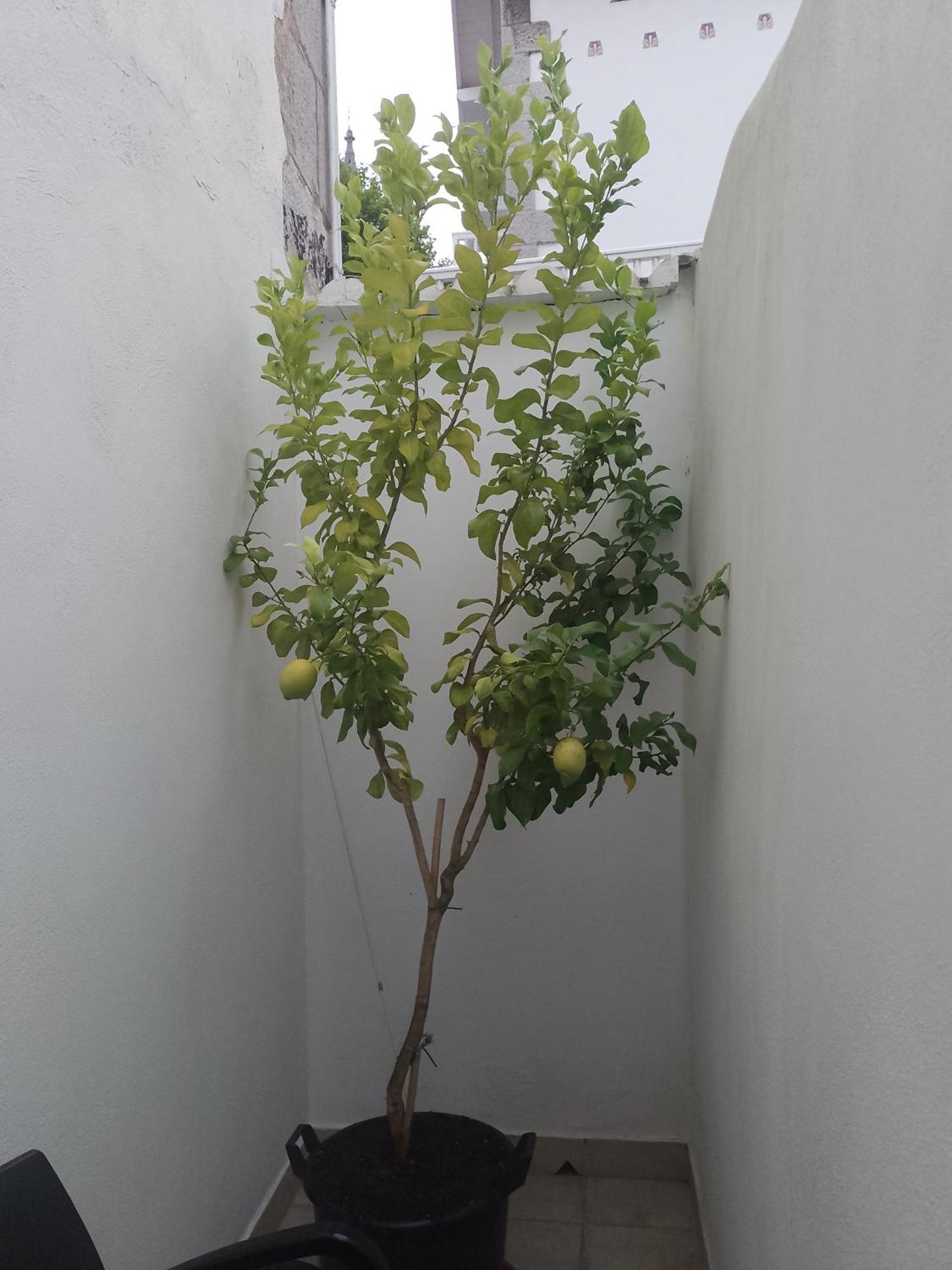 Atalaya Διαμέρισμα Mundaka Εξωτερικό φωτογραφία